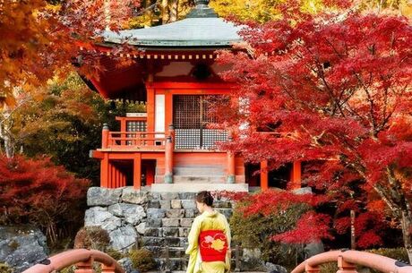 BÜYÜK JAPONYA TURU