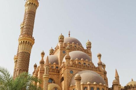 MISIR TURU KURBAN BAYRAMI 2026