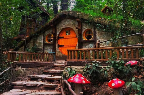 HOBBİT EVLERİ - ORMANYA - MAŞUKİYE- YEDİGÖLLER -ABANT- GÖLCUK TURU