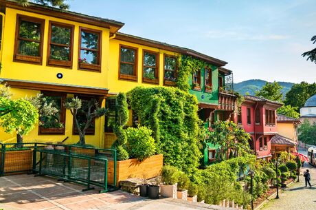 BURSA ESKİŞEHİR TURU