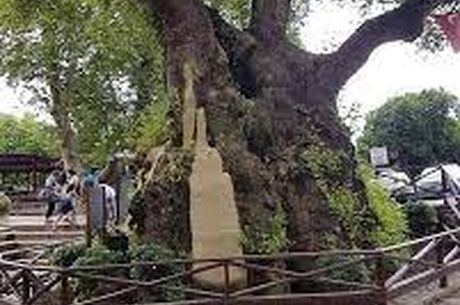 HATAY – SAMANDAĞ KÜLTÜR & DOĞA TURU