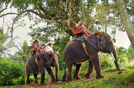 BANGKOK  PHUKET TURU ''THY İLE''