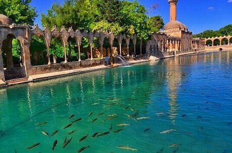 GAP TURU ''MARDİN DİYARBAKIR URFA''