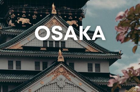 BÜYÜK JAPONYA TURU