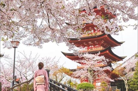 BÜYÜK JAPONYA TURU